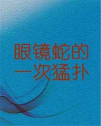 红楼之逆袭悲剧人生番外